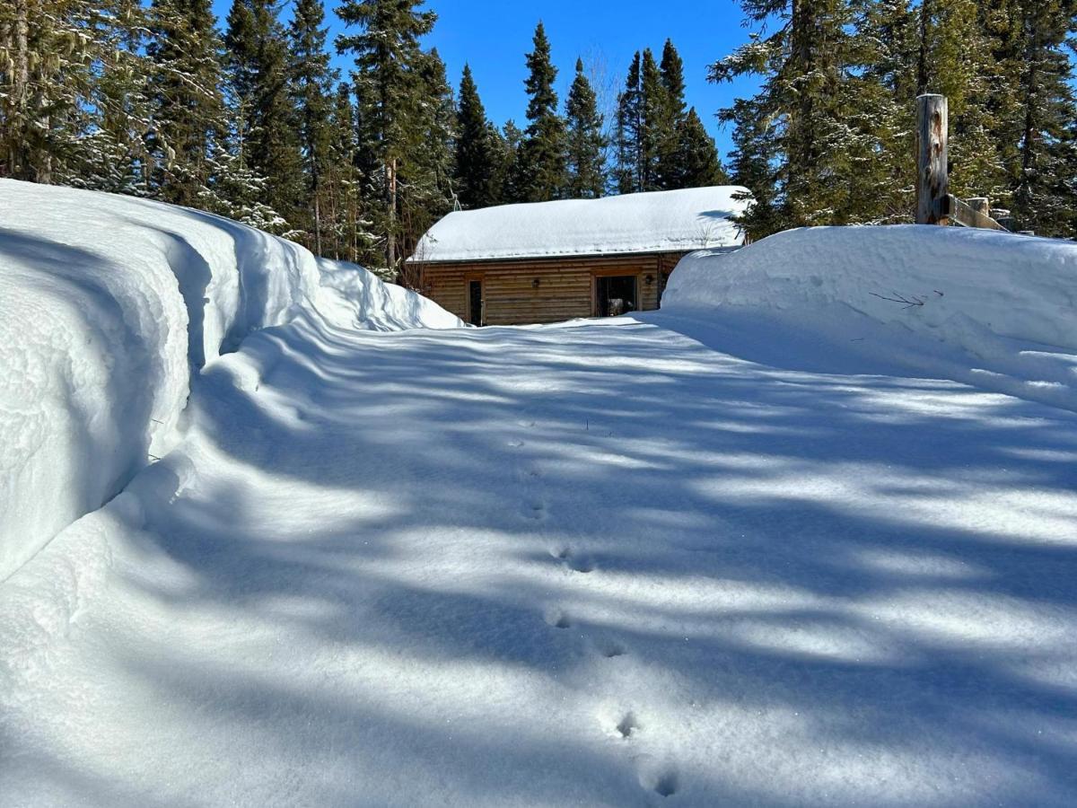Husky - Chalets De Moh - Jacuzzi La Malbaie Eksteriør billede