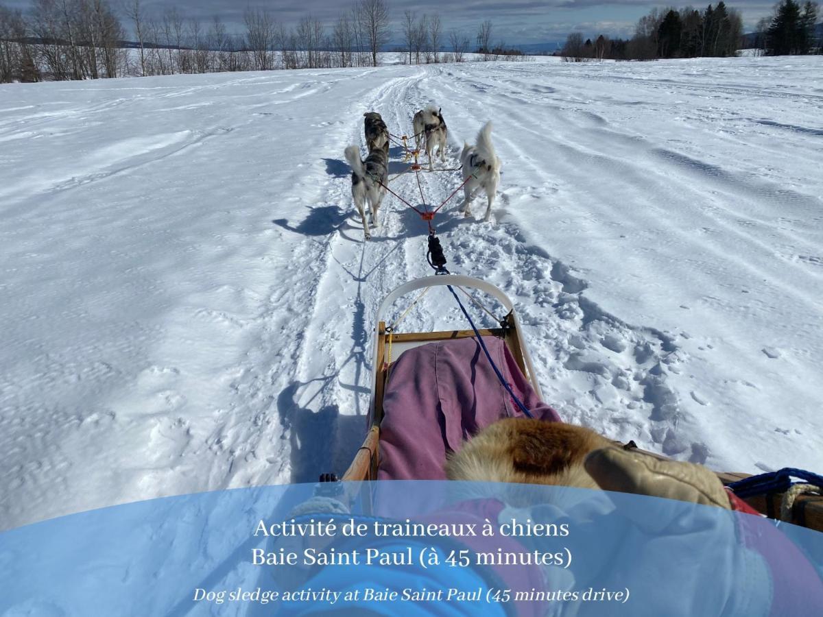 Husky - Chalets De Moh - Jacuzzi La Malbaie Eksteriør billede
