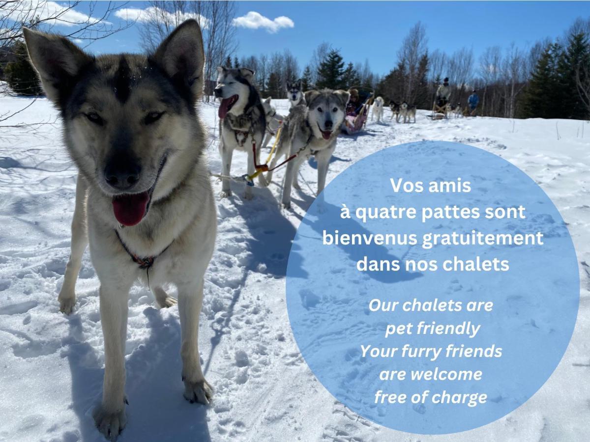 Husky - Chalets De Moh - Jacuzzi La Malbaie Eksteriør billede